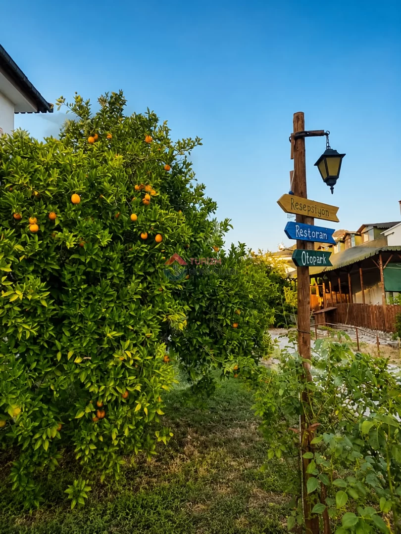 Portakal Bahçesi İçerisinde Tatil Köyü Günlük Kiralık